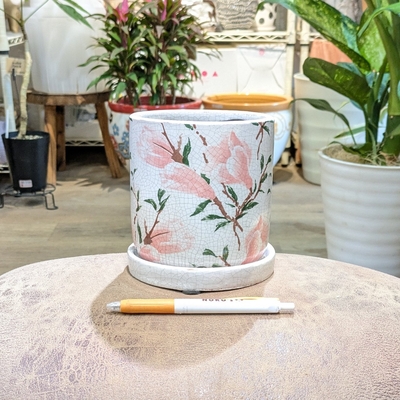 【 893 】内径 約11cm 高さ 約12cm (受皿付・鉢底穴あり)