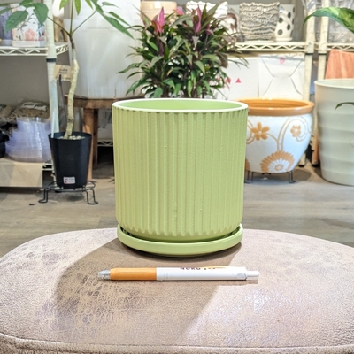 【 895 】内径 約12cm 高さ 約13cm (受皿付・鉢底穴あり)