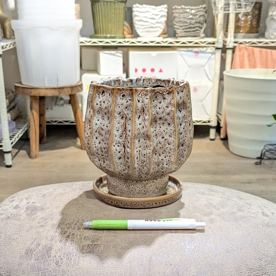 【 907 】内径 約11cm 高さ 約15cm (受皿付・鉢底穴あり)