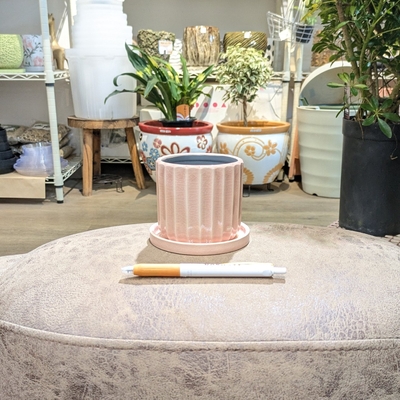 《 411 》内径 約7.5cm 高さ 約7.5cm (受皿付・鉢底穴あり)