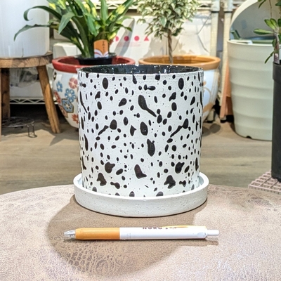 【 927 】内径 約12.5cm 高さ 約13cm (受皿付・鉢底穴あり)