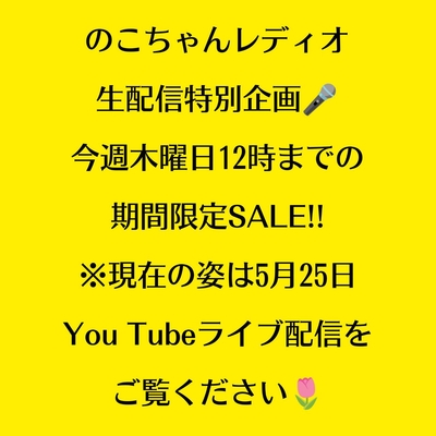 ネオレゲリア ファイヤーボール ６号 ◎現品販売◎  ⭐木村園芸さん⭐