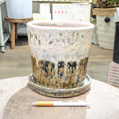 ( 179 ) 内径 約16cm 高さ 約17cm (受皿付・鉢底穴あり)