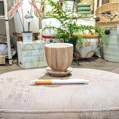 《 438 》内径 約6.5cm 高さ 約7cm (受皿付・鉢底穴あり)