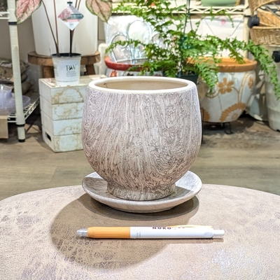 【 58 】内径 約10cm 高さ 約12cm (受皿付・鉢底穴あり)