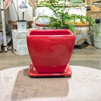 【 60 】内径 約12cm 高さ 約12cm (受皿付・鉢底穴あり)
