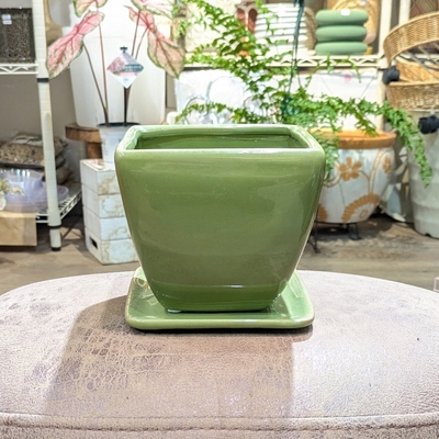 【 61 】内径 約12cm 高さ 約12cm (受皿付・鉢底穴あり)