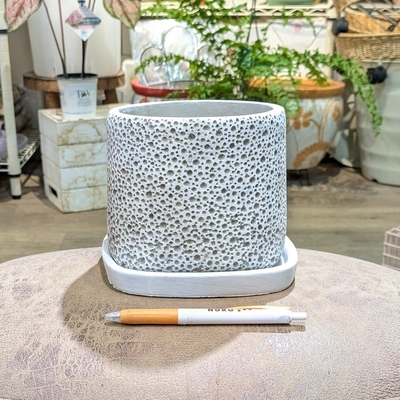 【 63 】内径 約12cm 高さ 約12cm (受皿付・鉢底穴あり)
