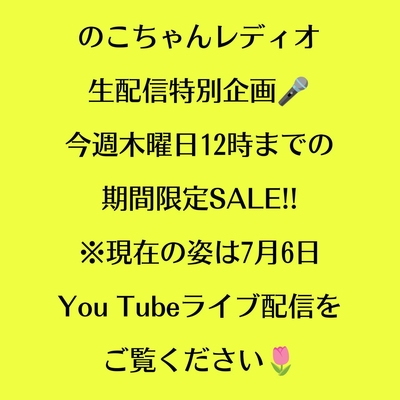 ユーフォルビア ユーリキニアカスタネアスピラリス ３.５号 ◎現品販売◎