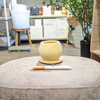 《 450 》内径 約6cm 高さ 約7cm (受皿付・鉢底穴あり)