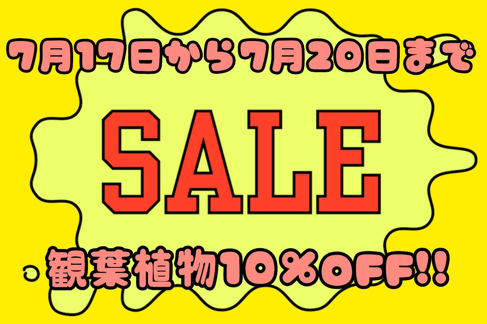 NOKO's 観葉植物オンラインストア