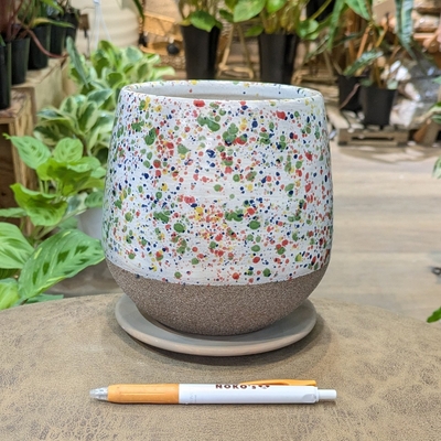 【 181 】内径 約11cm 高さ 約15cm (受皿付・鉢底穴あり)