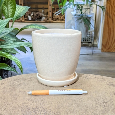 【 185 】内径 約11cm 高さ 約12cm (受皿付・鉢底穴あり)