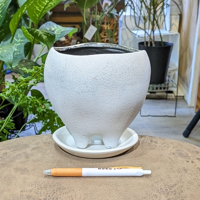 【 218 】【容器部分のみ：内径 約12cm 高さ 約12cm】全高 約14cm (受皿付・鉢底穴あり)