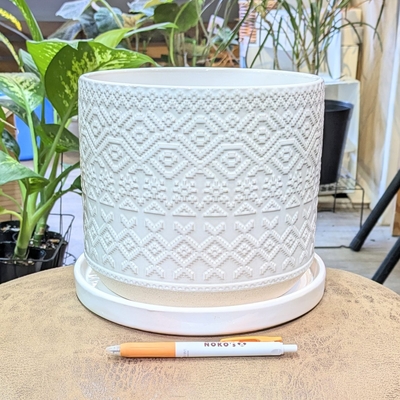 ( 201 ) 内径 約19cm 高さ 約17.5cm (受皿付・鉢底穴あり)