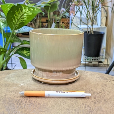 【 230 】内径 約11cm 高さ 約10cm (受皿付・鉢底穴あり)