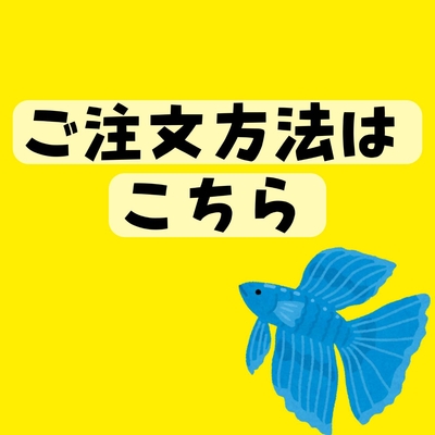 ベタのご注文方法はこちらをお読みください