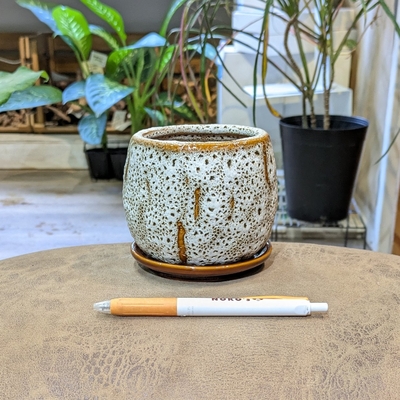 《 483 》内径 約7.5cm 高さ 約9cm (受皿付・鉢底穴あり)