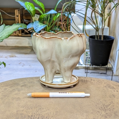 【 246 】【容器部分のみ：内径 約10cm 高さ 約9cm】全高 約12cm (受皿付・鉢底穴あり)