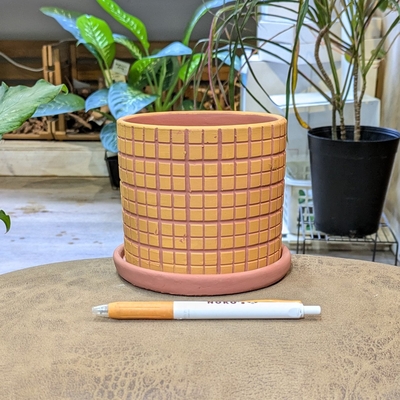 【 247 】内径 約10.5cm 高さ 約10cm (受皿付・鉢底穴あり)