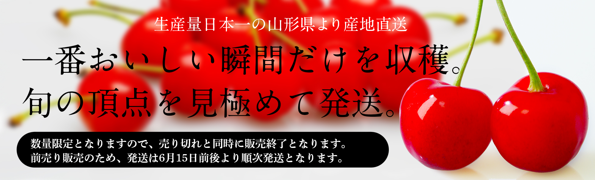 一番おいしい瞬間だけを収穫。旬の頂点を見極めて発送。