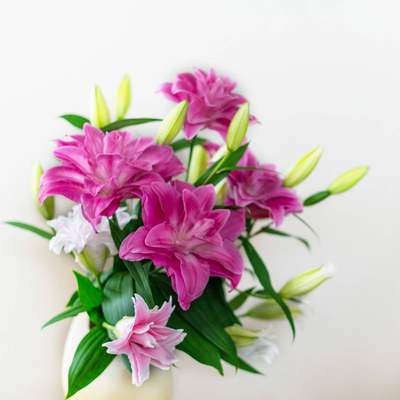 ゆり ブライダル5種まとめ売り F.F.HIRAIDE[エフエフヒライデ]