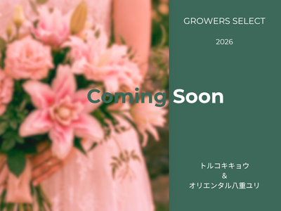 【販売中】2026 Mother'sDay【グロワーズセレクト】ベルズファーム&times;F.F.HIRAIDE限定コラボ商品【限定50セット】