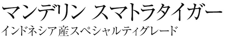 マンデリン　スマトラタイガー（インドネシア産スペシャルティグレード）