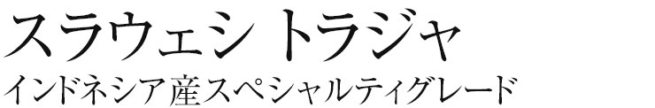 スラウェシ　トラジャ（インドネシア産スペシャルティグレード）