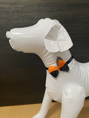 ペット用首飾り　犬猫兼用　リボン　ハロウィン