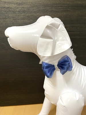 ペット用首飾り　犬猫兼用　リボン　青