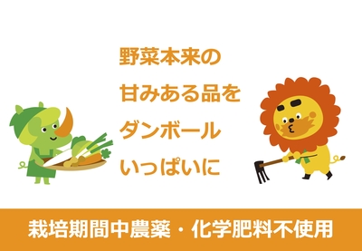 1名様向けセット／野菜4〜6種　※画像はイメージです