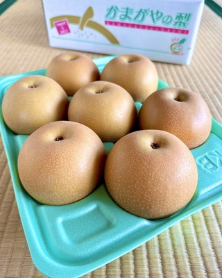 あきづき ３kg（7-8玉）