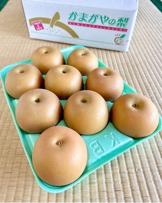 あきづき ３kg（小玉９玉）