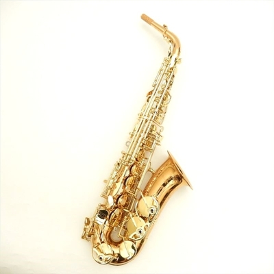 【Yanagisawa】【管楽器・ｱﾙﾄｻｯｸｽ】 A-WO20