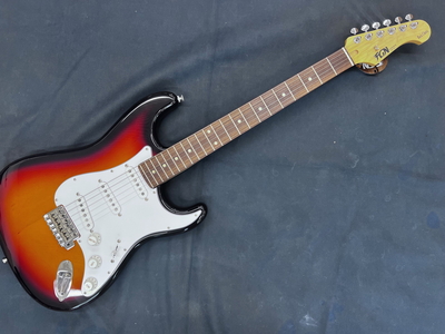【Fujigen(富士弦)】【エレキギター】BCST100RBD 3TS 01 Basic Classic Series