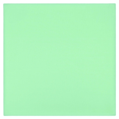 トレシー楽器クリーナー(クロス) セージ Mサイズ スタンダード G18