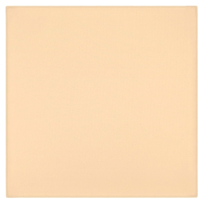 トレシー楽器クリーナー(クロス) ピーチ Mサイズ スタンダード G48