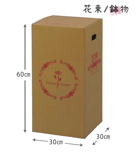 私も花! ノーカット完全版 BOX1〈4枚組〉BOX2〈4枚組〉 Amazon.co.jp: 私も花! (ノーカット完全版) BOX2 [DVD] : ユン