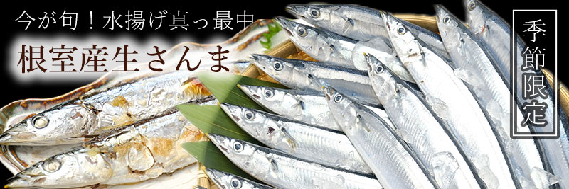 根室産生サンマ2kg前後（13-14尾入）の通販
