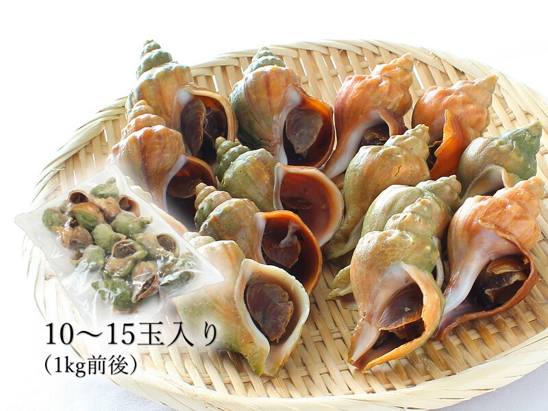 北海道産冷凍ボイル青つぶ貝1㎏（10～15玉）｜一印おさかな市場の通販