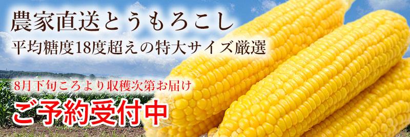 北海道産とうもろこしゴールドラッシュの通販