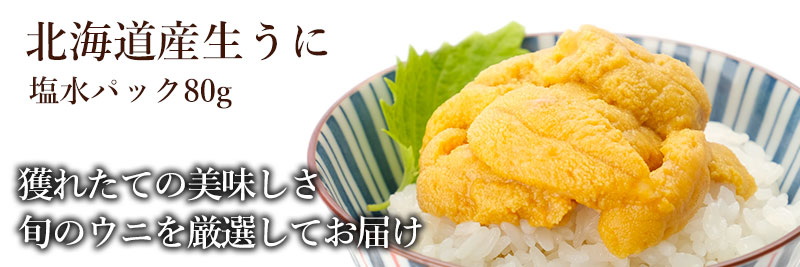 北海道産キタムラサキウニ80g（塩水パック）の通販