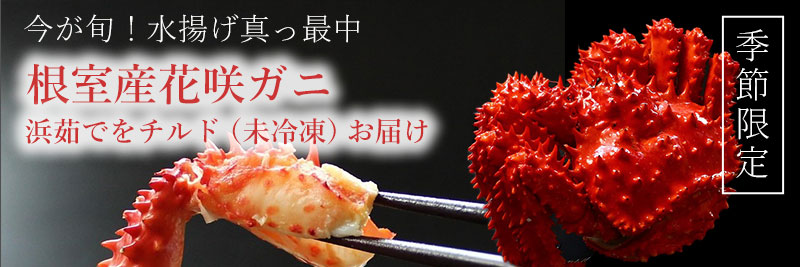 根室産チルド花咲ガニの通販