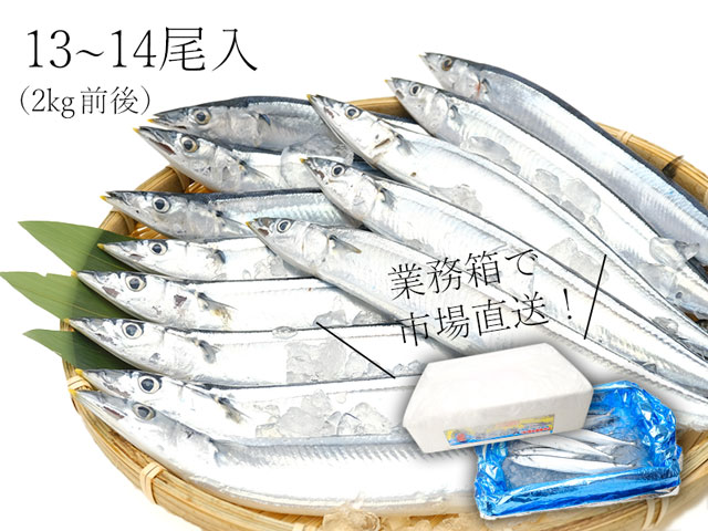 新物サンマを市場より直送！新鮮なサンマをご自宅で楽しめます。