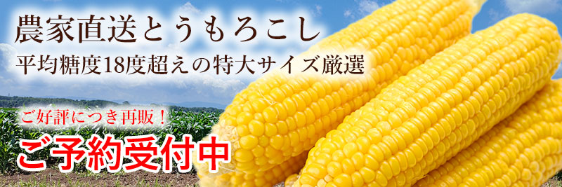 北海道産朝もぎとうもろこし（ゴールドラッシュ）10本入れの通販