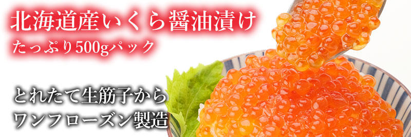 北海道産いくら醤油漬け500gの通販
