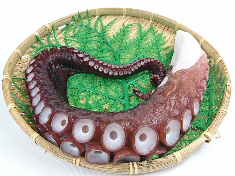 1kgにもなる特大サイズのタコ足
