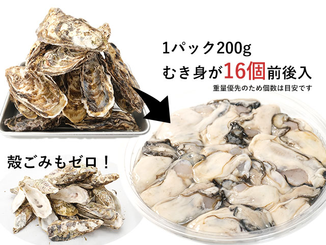 サロマ産無水牡蠣（かき）の通販