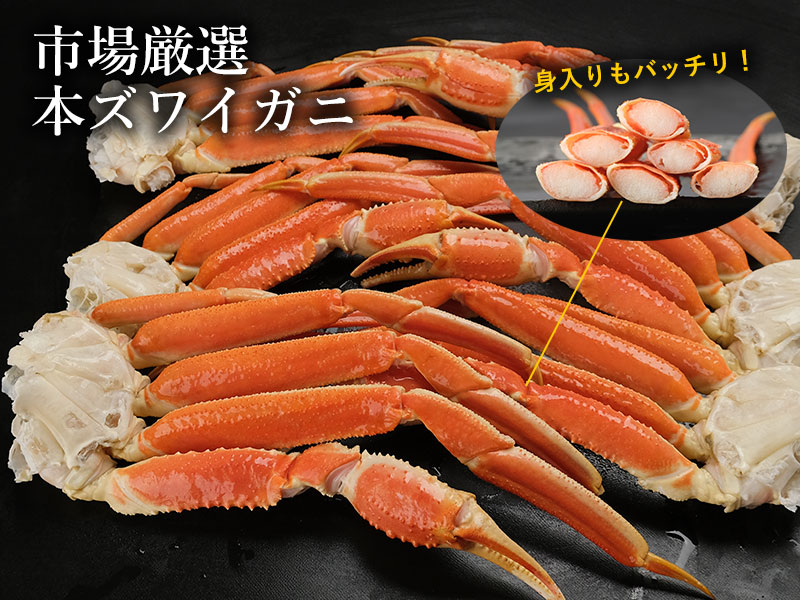 圧巻の5Lサイズ！市場が選ぶ別格の鮮度